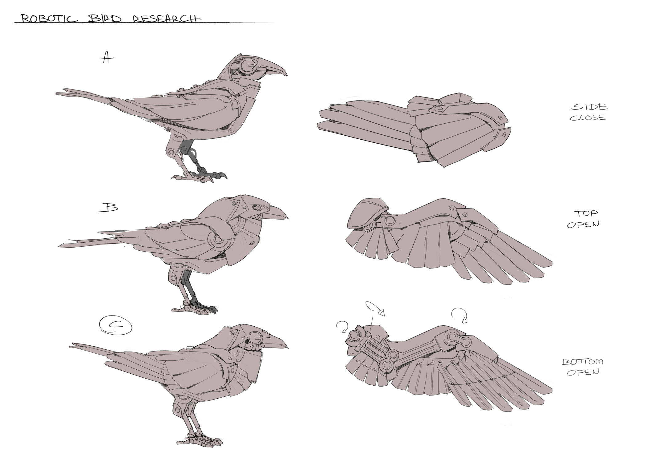 robotic bird research